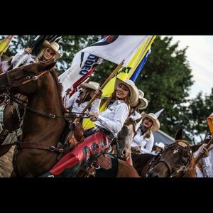 Meet your Posher, Jessie